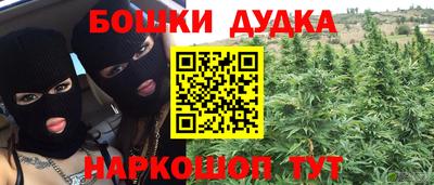 каннабис Новозыбков