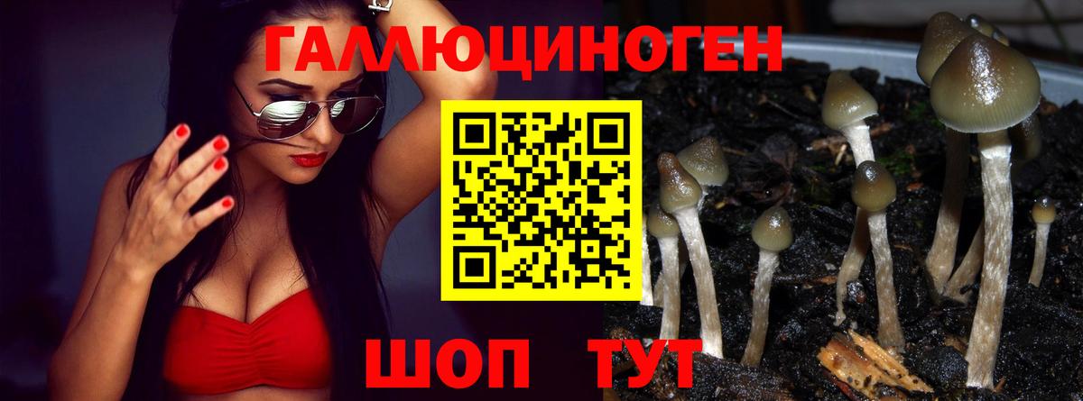 Галлюциногенные грибы Magic Shrooms  Галлюциногенные грибы мицелий  Новокузнецк  Вход с VPN 