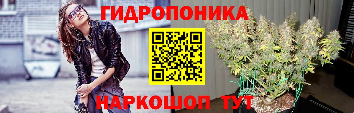 Шишки марихуана гибрид Новокузнецк